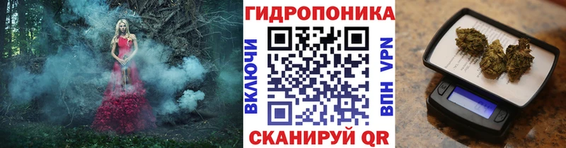 Где можно купить наркотики Берёзовка KRAKEN   COCAIN  Гашиш  Канабис 
