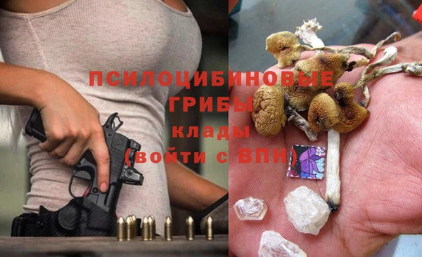 2c-b Кулебаки