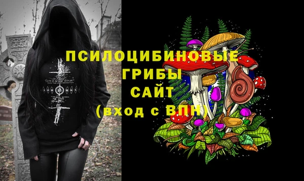 дурь Кукмор